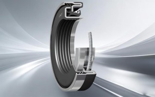 如何选择适合特定应用的SKF骨架油封