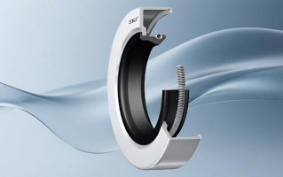 解读SKF密封件的主要类型与其应用差异