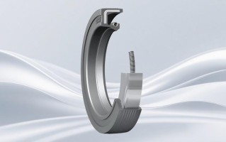 如何选择适合特定应用的SKF骨架油封