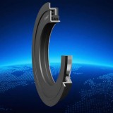 SKF聚四氟乙烯密封：半导体制造设备无污染密封