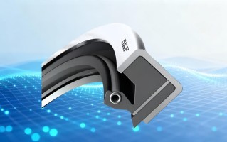 如何选择合适的SKF油封