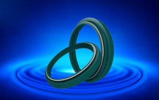 SKF骨架油封 丁腈橡胶 (NBR) 与瑞典进口氟胶 HMSA10 RG 型号 190X220X15