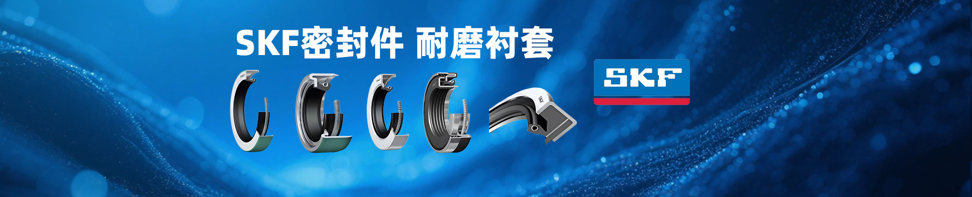 SKF密封件